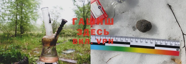 прущие грибы Переславль-Залесский