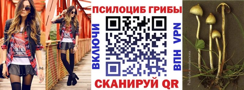 blacksprut   Северо-Курильск  Галлюциногенные грибы прущие грибы 